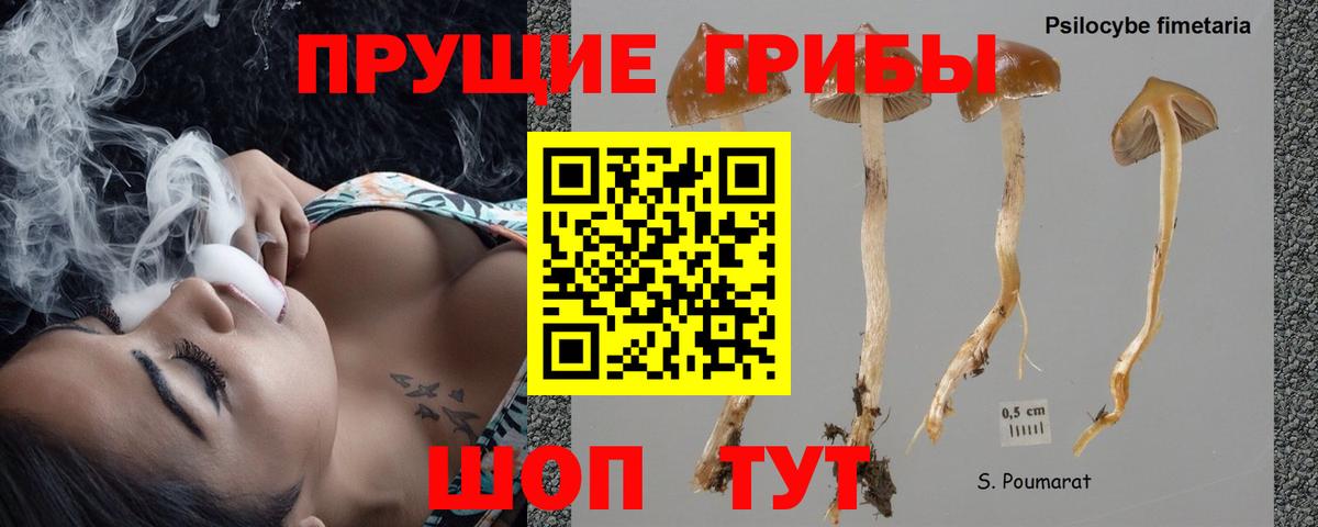 Галлюциногенные грибы мухоморы Горячий Ключ